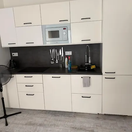 Viky Apartman *