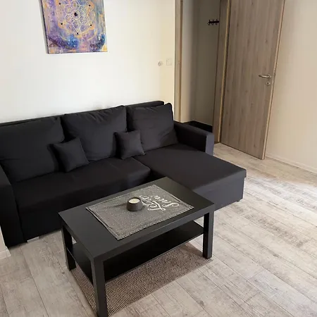 Viky Apartman *